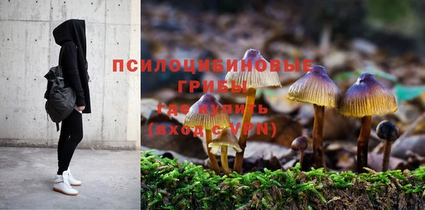 крисы Алексеевка