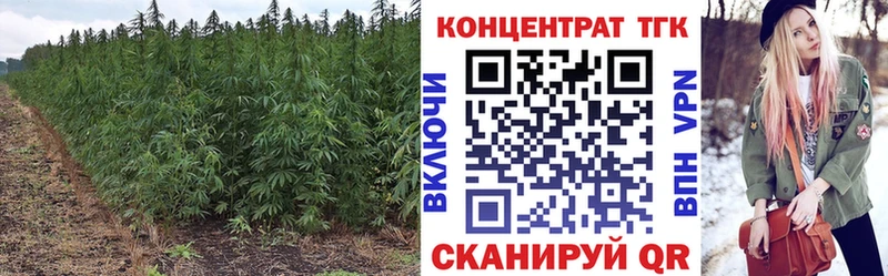 Дистиллят ТГК вейп с тгк купить сайты маркетплейс формула Орлов